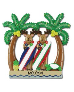 192: Reindeer Surboard-2
