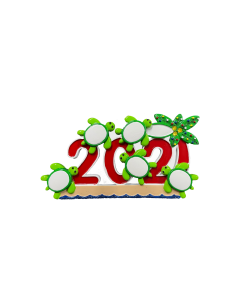 NT325: 2021 Turtles 5