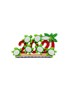 NT326: 2021 Turtles 6
