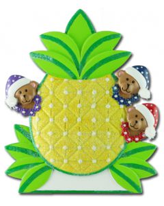 223: PINEAPPLE FAMILY 3