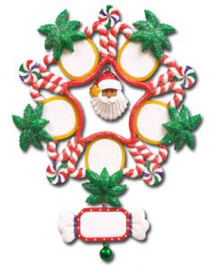 CL415: Tropical Snowflake - 5