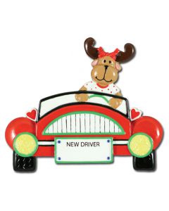 CR167: NEW DRIVER GIRL