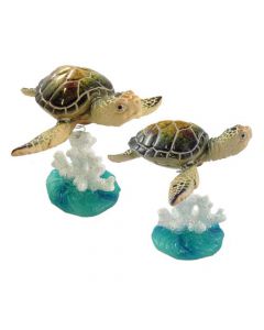 BOW133 TURTLE ON SPRING CORAL