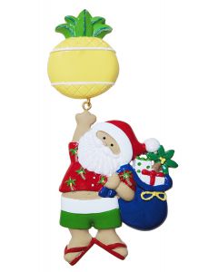 NT254:  Linking Pineapple Santa