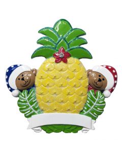NT312: Pineapple Bears 2