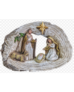 HAN109 FOREST HOLY FAMILY TT