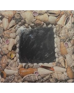 WS118 LG MIXED SHELLS MIRROR