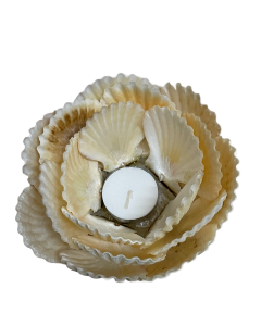 WS175 CANDLE HOLDER w/ CAPIZ BASE