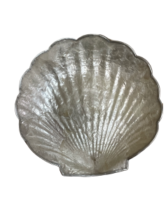 WS186S 5.5" CAPIZ DISH w/ SLV TRIM